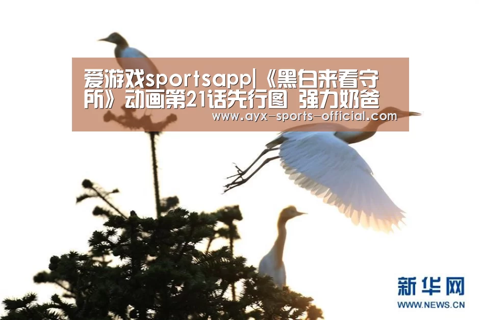 爱游戏sportsapp|《黑白来看守所》动画第21话先行图 强力奶爸入队(图3) 爱游戏sportsAPP下载